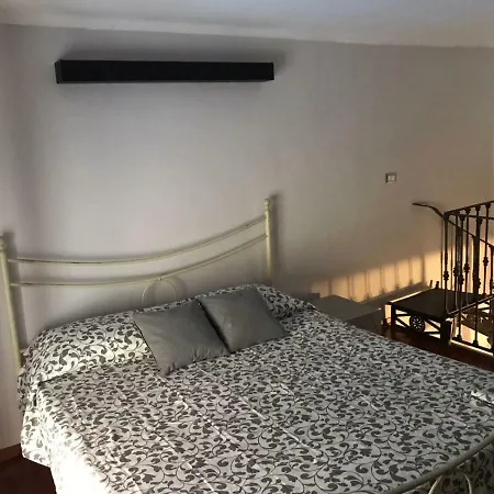 Talucchi 25 *